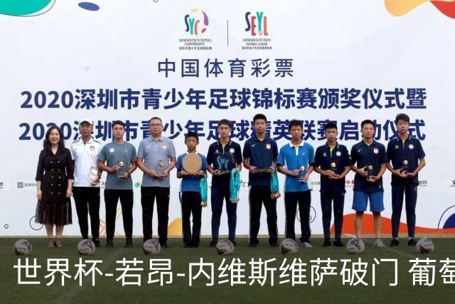世界杯-若昂-内维斯维萨破门 葡萄牙半场暂1-1民主刚果